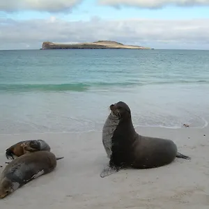 North Seymour 4* Puerto Ayora (Galapagos Islands)